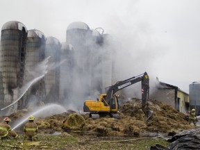 The Macdonald Campus fire destroyed 90 per cent of the feed needed to feed the animals. (Phil Carpenter/THE GAZETTE)