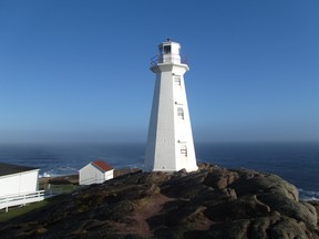 Newfoundland 458
