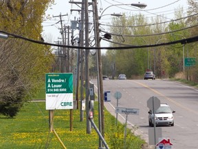 Area north of Ste-Marie Road in Ste-Anne-de-Bellevue is the focus of the review.