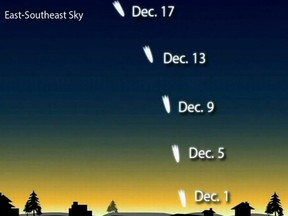 Skywatchers with binoculars should hunt for the remains of Comet ISON in the pre-dawn sky in the first half of December.