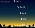 Skywatchers with binoculars should hunt for the remains of Comet ISON in the pre-dawn sky in the first half of December.