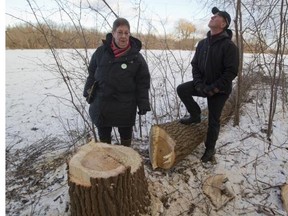 Sylvia Oljemark, left, and Denis Lemieux Licursi, with some of the trees felled by Hydro-Québec in Ahuntsic-Cartierville borough on Thursday. They are fighting plans by Hydro to cut down trees near two nature parks in the west-end.