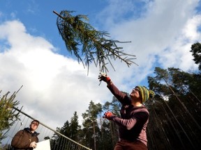WEIDENTHAL, GERMANY - JANUARY 05:  A contestant launches a Christmas tree in the distance discipline of the Christmas Tree Throwing World Championships on January 5, 2013 in Weidenthal, Germany. The less-than-serious annual event is now in its eighth year and features competitions in distance throwing, height throwing and flinging of Christmas trees.  (Photo by Thomas Lohnes/Getty Images) *** BESTPIX ***