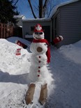 Snowman built in honour of Alex…