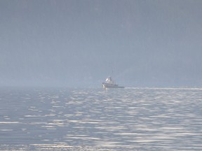 Tug in the Mist