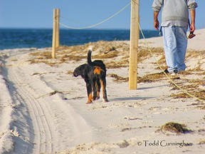 Walking on the beach.