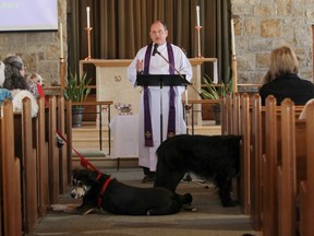 Reverend Lorne Eason conducts the service as the dogs relax.