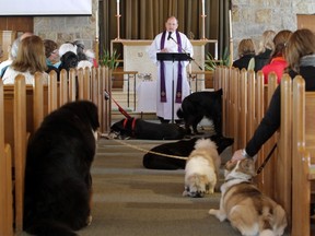 Reverend Lorne Eason conducts the service as the dogs relax..