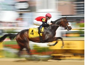He’s Achance #4, ridden by Sheldon Russell, races during the 17th running of the Sir Barton Stakes at Pimlico Race Course on May 17, 2014 in Baltimore, Maryland.