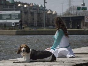 A woman and her dog enjoy the sunshine on the boardwalk in Ste-Anne.