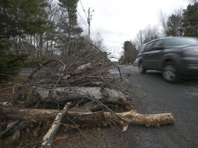 Branches are piled on the side of the road in St-Lazare awaiting pickup.