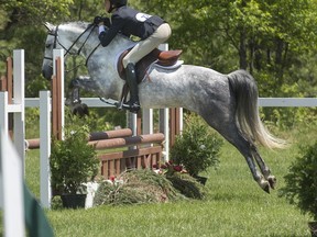 A rider and her horse take a jump during competition.