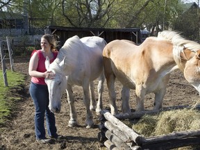 Kerri Fenoff, president of Vaudreuil-Dorion horse rescue, The Horse, with the two horses recently added to her stable.