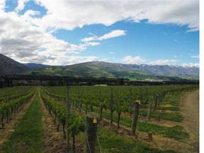 Regions such as New Zealand’s Central Otago have begun to show that they can make distinctive, and very good, pinot noir.