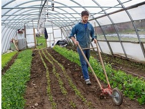 Organic farmer Jean-Martin Fortier is the seemingly unlikely choice to run André Desmarais's farm.