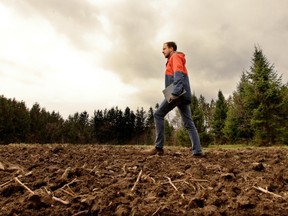 Olivier Labrie trudges through the fields at Senneville's Ferme du Zephyr where later this month he will plant the ancient South American grain quinoa.