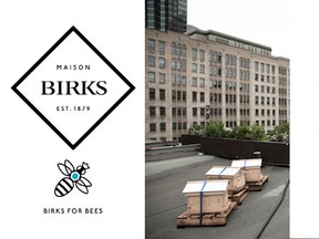 Birks-x-bees-feature