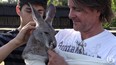 Luc Lefebvre right holds Mirka, a 12 month old kangaroo used in zootherapy after the one-year old  wandered away for 24 hours into the nearby woods of St Lazare. She was found by a neighbour Monday, June 9, 2014. (Peter McCabe / THE GAZETTE)