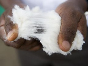 Cotton made in Africa (CmiA) was created by the Aid by Trade Foundation, a non-profit organization founded in 2005.