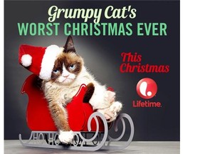 TV channel Lifetime is making a TV movie about Internet celebrity Grumpy Cat to air this December.