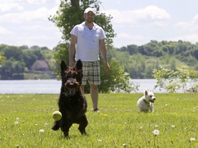 Dog owners, like Max Matton with Maggie, left, and Mika at Bertold Park in Baie d'Urfe, are being encouraged to register their pets.
