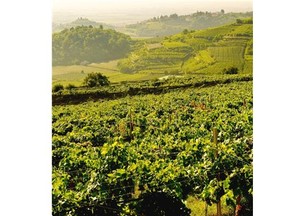 The garganega grape achieves its maximum expression on Italy’s volcanic hillsides; and the wines made from it have subtle flavours and low acidity.