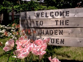 The Haden Garden is a natural oasis tucked in an enclosed courtyard at John Rennie High School.