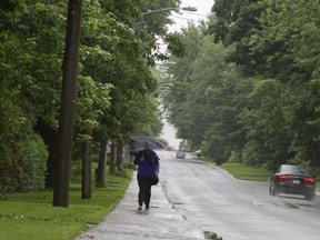 There are 44 ash trees on Morgan Road in Baie-d'Urfe, between Highway 20 and Lakeshore Road.