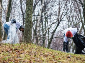 Volunteers search for garbage during a cleaning event organized by Les amis de la montagne at Mount Royal park in Montreal on Sunday, May 4, 2014.