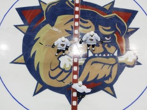 Hamilton--1/30/03--A trio of Hamilton Bulldogs meet at centre ice during their Thursday morning practice in Copp's Coliseum. National Post photo by Glenn Lowson for Sports