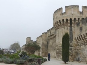 Cruises on the Rhone and Saone, in the heart of Burgundy, allow you take in places like Avignon, above.