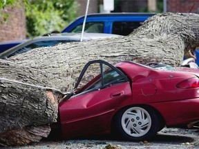 A downed tree lays atop a crushed car Wednesday, July 9, 2014, in Philadelphia. About 228,000 homes and businesses across Pennsylvania remain without power after severe thunderstorms raced across the state.