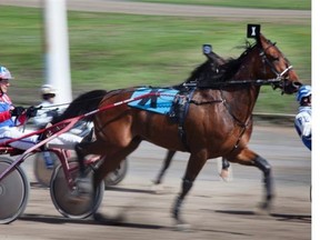 Intimidate, seen in 2013, beat out favourite Sebastian K S at Ontario's Mohawk Raceway on Saturday.