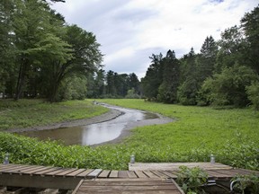 The Vivery Creek runs through a grassy swamp where Pine Lake once was.