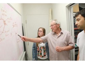 McGill neuroscience professor and researcher Dan Guitton, centre, of the Montreal Neurological Institute talks about findings on stimuli for studies of the brain’s visual system with PhD students Sujaya Neupane, right, and Kate Rath-Wilson at the institute in Montreal.