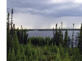 Canada is a nation rich in natural resources, such as the Boreal Forest in central Quebec.