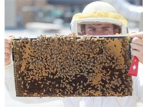 Santropol Roulant will be offering free hands-on workshops on urban beekeeping and other topics between 6 and 7 p.m. on Thursday.