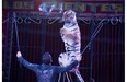 In this June 22, 2014 photo Alex Fuentes coaches Furia, a female Bengal Tiger, during a performance with the Fuentes Gasca Brothers Circus in Mexico City. The tigers are declawed when they are babies as to not harm the trainers, said Alex, who had suffered an injury a few years ago when one of his tigers bit into his thigh leaving gaping hole. It took him two months to recover.