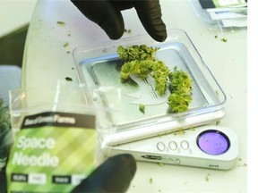 A worker weighs out one-gram packets of a variety of recreational marijuana named “Space Needle,” during packaging operations at Sea of Green Farms in Seattle.