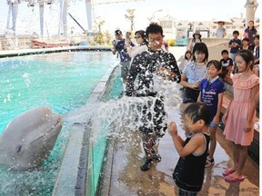 A beluga whale sprays water onto visitors at a summer attraction at the Hakkeijima Sea Paradise aquarium in Yokohama, suburban Tokyo on August 6, 2014. Tokyo's temperature climbed over 35 degree Celsius on August 6 following a heatwave in the area.