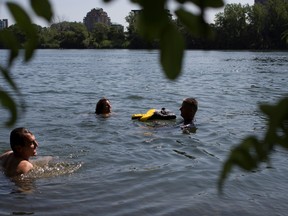 Montreal city councillors for the Verdun borough  Marie-Andree Mauger, centre, Luc Gagnon and party leader Richard Bergeron, left, swim in the Sainte Lawrence river in Montreal on Wednesday August 6, 2014. Projet Monteal is calling for a public beach to be built behind the Verdun Auditorium.  (Allen McInnis / THE GAZETTE)