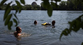 Montreal city councillors for the Verdun borough  Marie-Andree Mauger, centre, Luc Gagnon and party leader Richard Bergeron, left, swim in the Sainte Lawrence river in Montreal on Wednesday August 6, 2014. Projet Monteal is calling for a public beach to be built behind the Verdun Auditorium.  (Allen McInnis / THE GAZETTE)