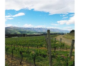 Big sky and big mountains may be beautiful, but growing pinot noir in Central Otago can be a tricky proposition.