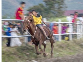 Fourteen-years old jockey Fitra competes during the Takengon traditional horse races on August 23, 2014 in Takengon District, Central Aceh, Sumatra Island, Indonesia. The races, which began in colonial times and originally took place on the banks of Lake Lut Tawar in Bintang district in the late 1930s, now commemorate Indonesian independence. The 12-year-old jockeys ride bareback.