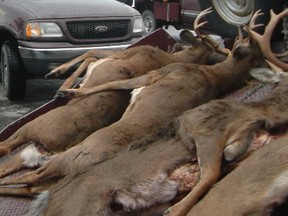 Poaching, of deer and other wildlife, is also an issue in Quebec.