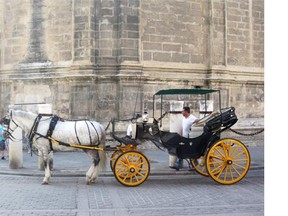 One way to get around Seville is with a horse and carriage.