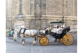 One way to get around Seville is with a horse and carriage.