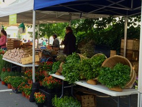 Some of the fine produce available at the public market.
