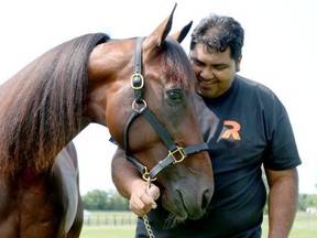 Caretaker Rufino Telon shares a playful moment with Hambletonian favorite Father Patrick after a morning workout at the Takter farm in East Windsor,N.J., this week. Father Patrick was the 4-5 morning line favourite in the Hambletonian race for 3-year-old trotters at the Meadowlands Racetrack in East Rutherford, N.J., but the horse broke stride at the start.
