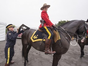 Corporal Beverly White (left) brushes maple leaf onto mounted horse.